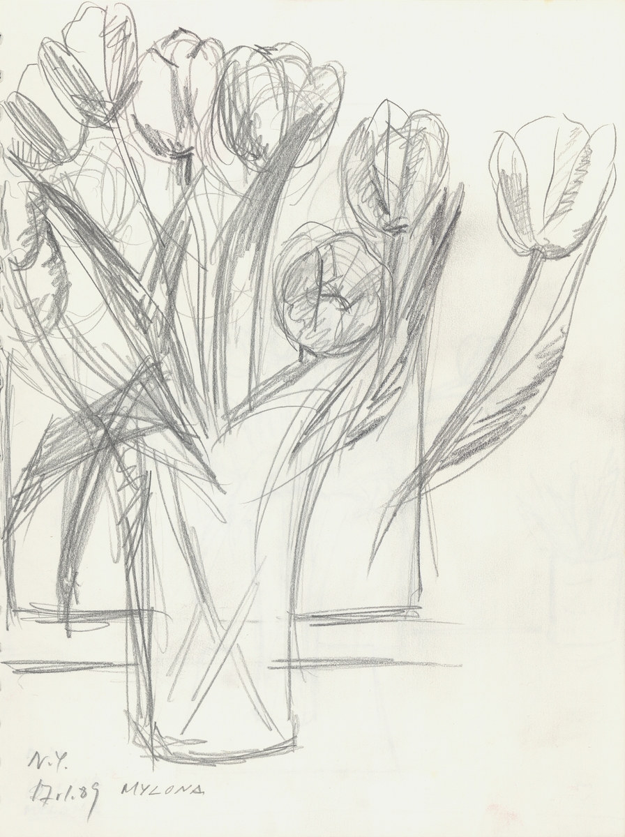 Bouquet of tulips